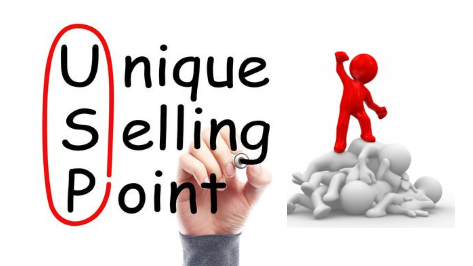 Unique Selling Point | Ebuzzon